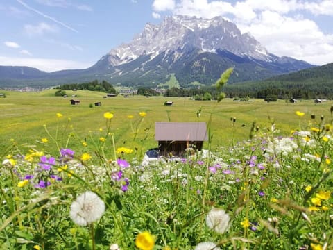 Pension Garni Hochmoos Bed and Breakfast in Garmisch-Partenkirchen