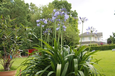 Property building, Garden, Pets