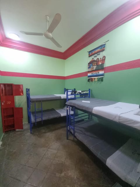 Hostal Amigo Hostel in Mexico City