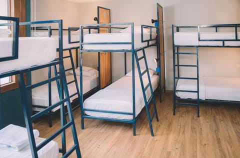 Bed, Photo of the whole room, Bedroom, bunk bed