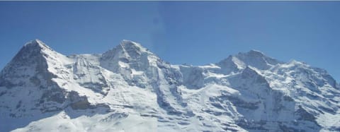 Chalet Unter dem Stein Condo in Grindelwald