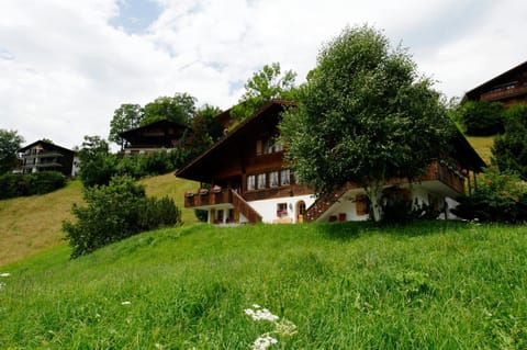 Chalet Unter dem Stein Condo in Grindelwald