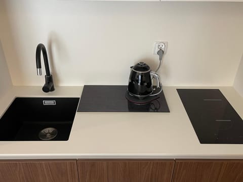 Kitchen or kitchenette, Photo of the whole room, stove