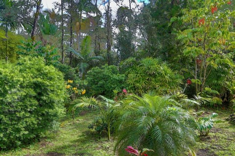 Tropical Anuenue Cottage Maison in Hawaiian Paradise Park