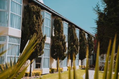 Property building, Garden view