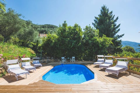 Exclusive beautiful pool house surrounded by greenery, modern, luxury finishes Haus in Camaiore
