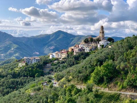 Neighbourhood, Natural landscape, Bird's eye view, Hiking, On site