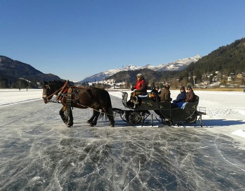 Winter, Horse-riding