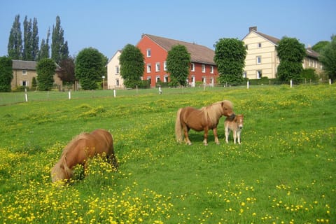 Bungalowpark Landsrade House in Limburg (province)