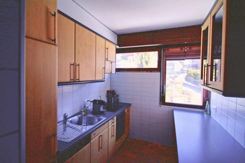 Joli appartement ensoleillé à Vercorin Apartment in Sierre