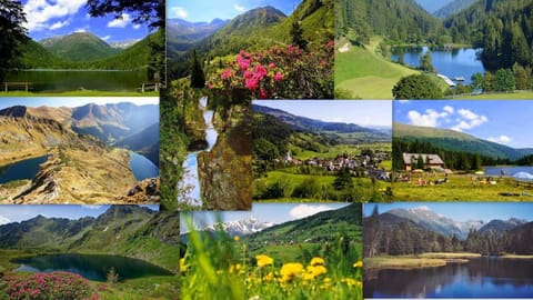 Nearby landmark, Natural landscape, Fishing, Horse-riding, Skiing, Hiking, Cycling