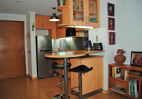 Studio Apartment En Providencia Apartment in Providencia