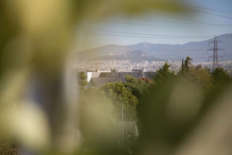 City view, Landmark view