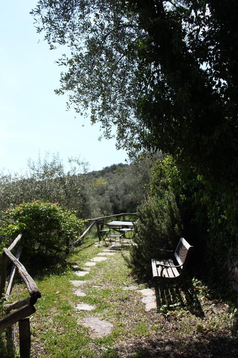 Garden, Garden view