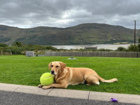 Robins Nest Bed and Breakfast in County Donegal