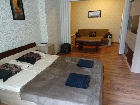 Bed, Living room, Photo of the whole room, Seating area