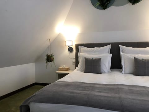 Arce Boutique Bed and Breakfast in Brasov