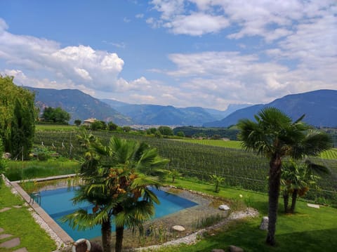 Spring, Natural landscape, Garden, Garden, Swimming pool, Open Air Bath