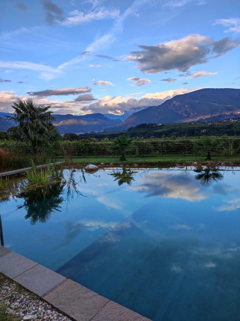 Swimming pool, Open Air Bath