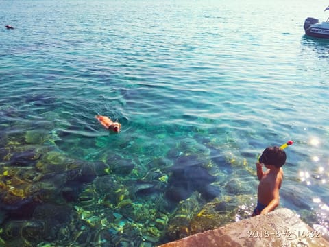 Apartmani Surjan Apartment in Dubrovnik-Neretva County