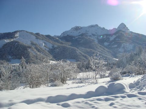 Winter, Mountain view