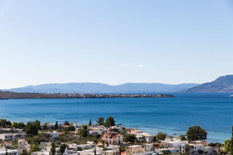 Villa Euphoria in Aegina, A' Marathonas bay Maison in Islands