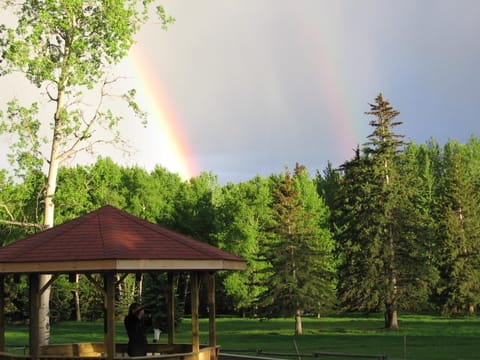 Black Cat Guest Ranch Resort in Yellowhead County