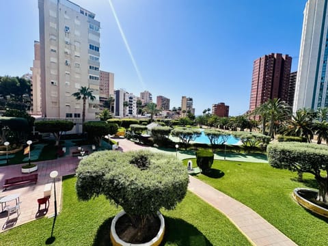 Patio, Garden, Garden view