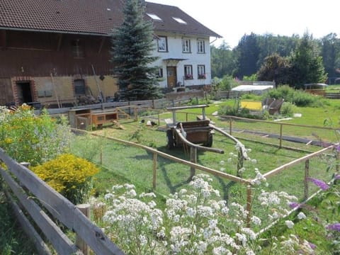 Carlo Condominio in Wangen im Allgäu