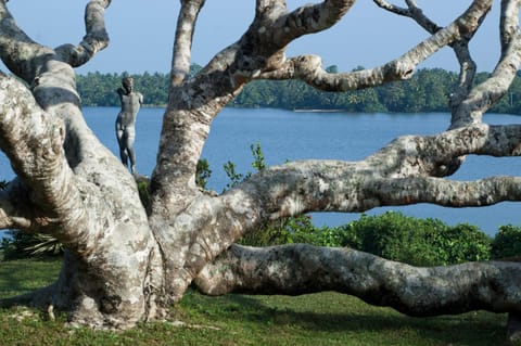 Day, Natural landscape, Lake view, River view