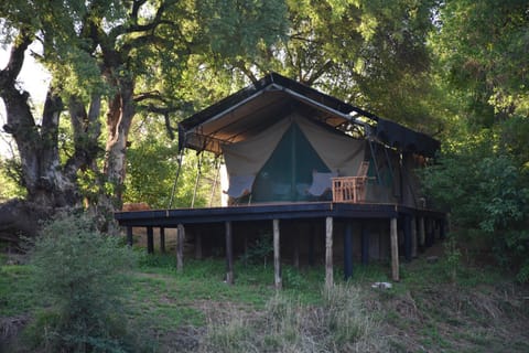 Koro Island Camp Tente de luxe in Zimbabwe