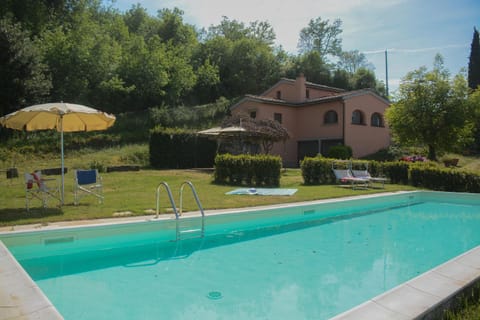 Garden, Garden, Swimming pool, Swimming pool