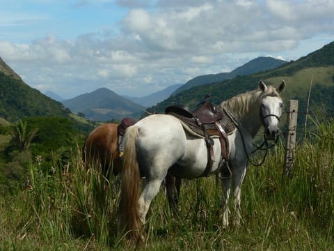 Horse-riding