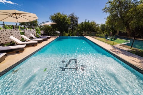 Pool view, Swimming pool, sunbed