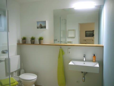 Bathroom, Living room