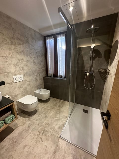 Shower, Toilet, Bathroom, bidet