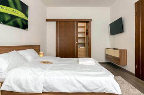 Casa Nicolae Luxury Suites Apartment hotel in Sibiu