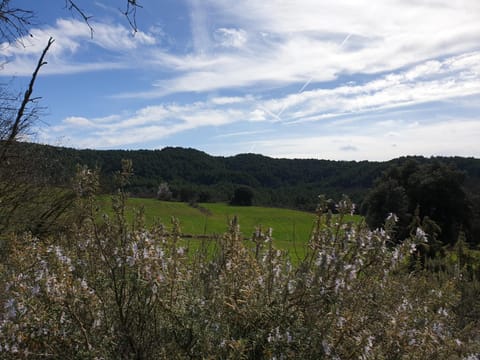 Masia l`Arà Country House in Catalonia