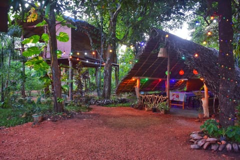 Akash Treehouse Vacation rental in Dambulla