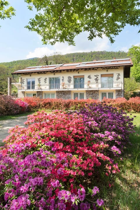 Facade/entrance, Spring, Garden, Garden view