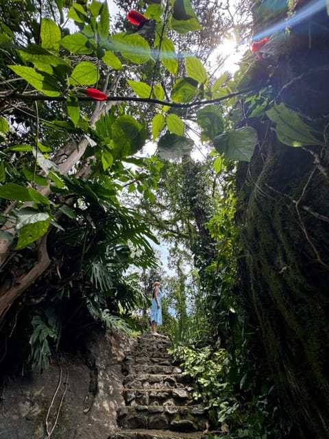 Pousada Olho D'Água Inn in State of Rio de Janeiro