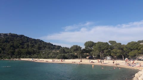 Apartments Josip Apartment in Murter