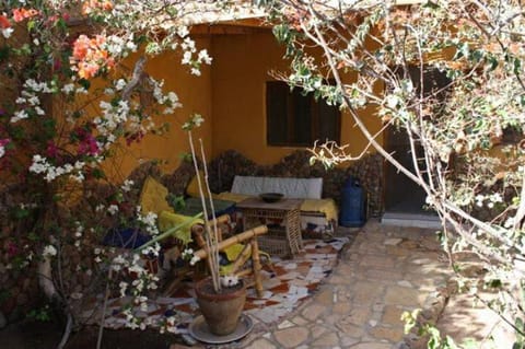 Property building, Garden, Garden view