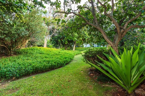 Modern, Romantic Vibes in the Tropics Apartment in Kawela Bay