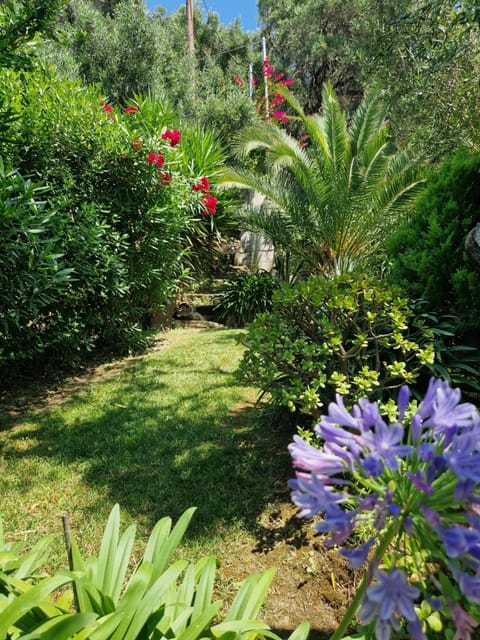 Garden, Garden view