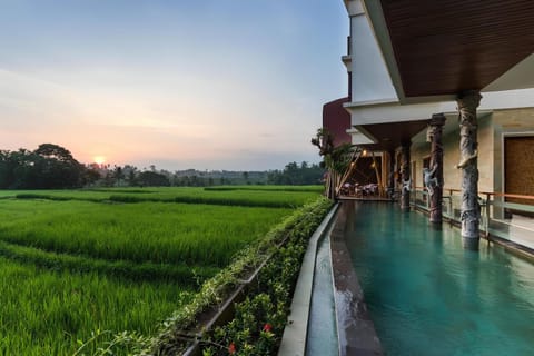 View (from property/room), Pool view, Swimming pool