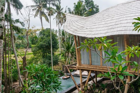 Property building, Natural landscape, Swimming pool