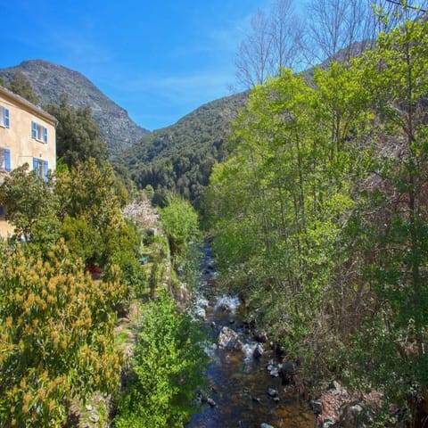 Property building, Facade/entrance, River view