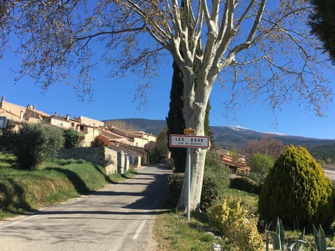 Spring, Neighbourhood, Mountain view