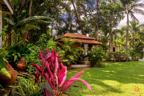 Garden, View (from property/room), Garden view